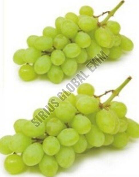 Fresh Thompson Seedless Grapes