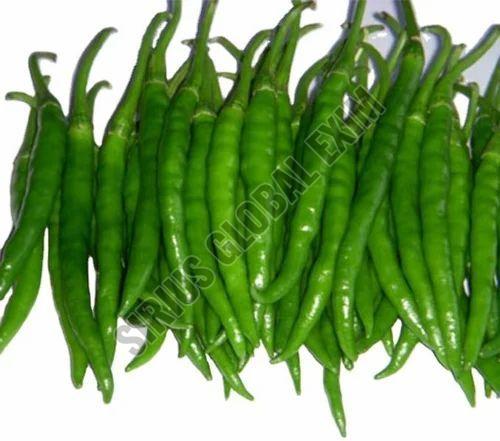 G4 Hybrid Green Chilli 10–14 Cm for Export, Hotels, Bulk Cooking