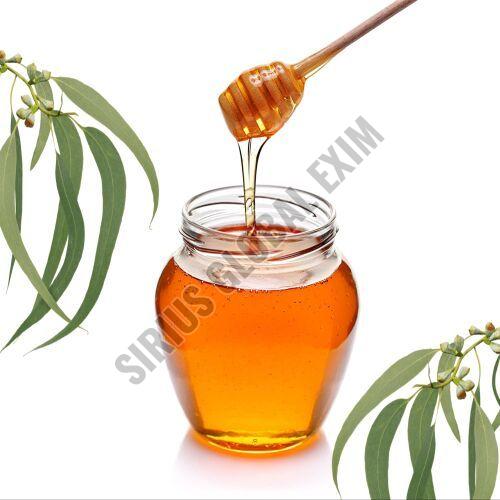 Pure Eucalyptus Honey