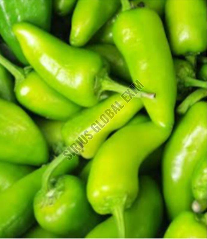 Small Bullet Green Chilli