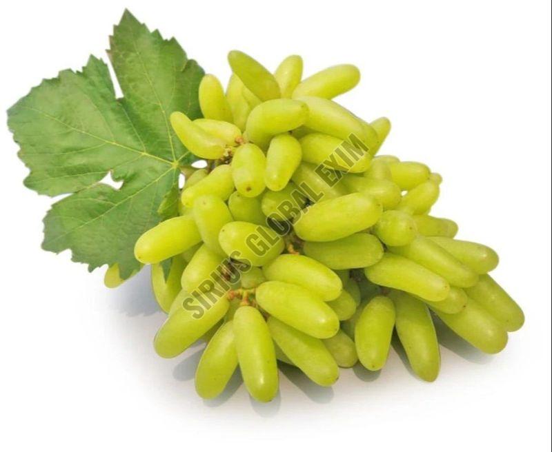 Sonaka Seedless Grapes