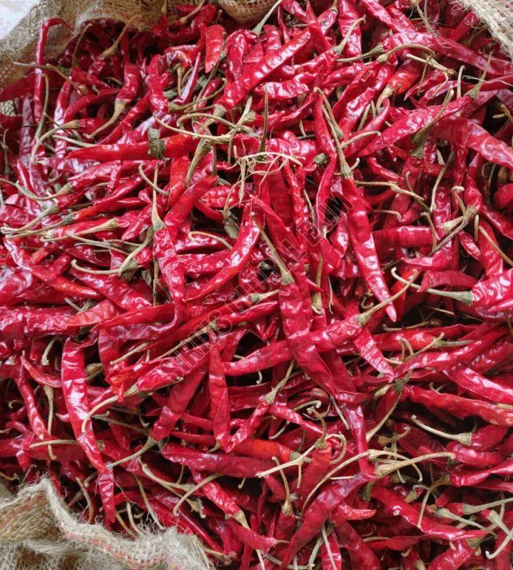 teja red chilli