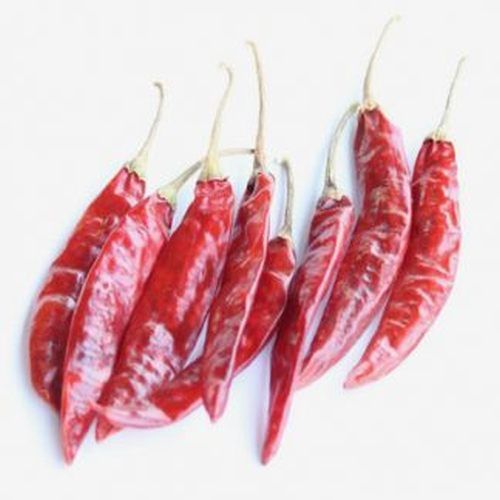 Sannam Dried Red Chilli, Length : 5-7 cm