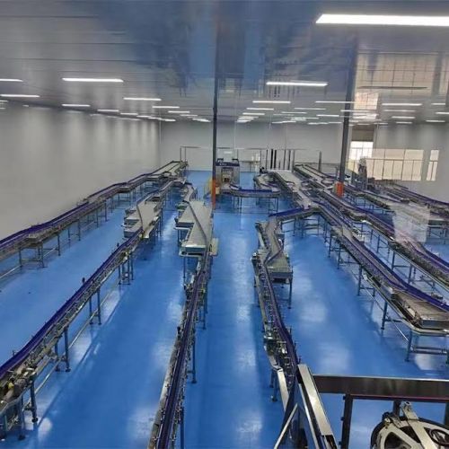 Automated Conveyor Belt System