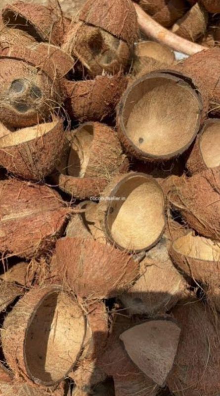 Coconut Shell