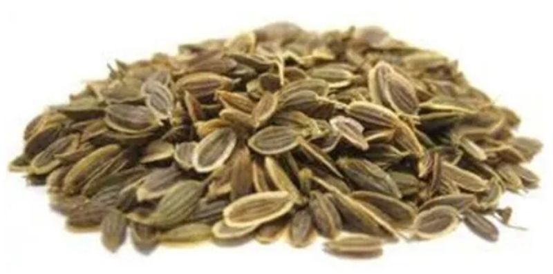 Dill Seeds