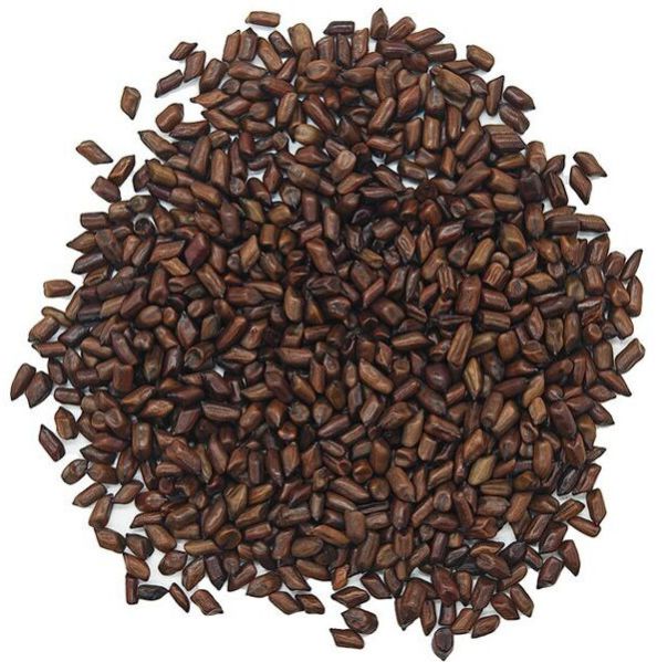 Dried Cassia Tora Seeds