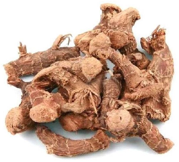 Galangal Roots