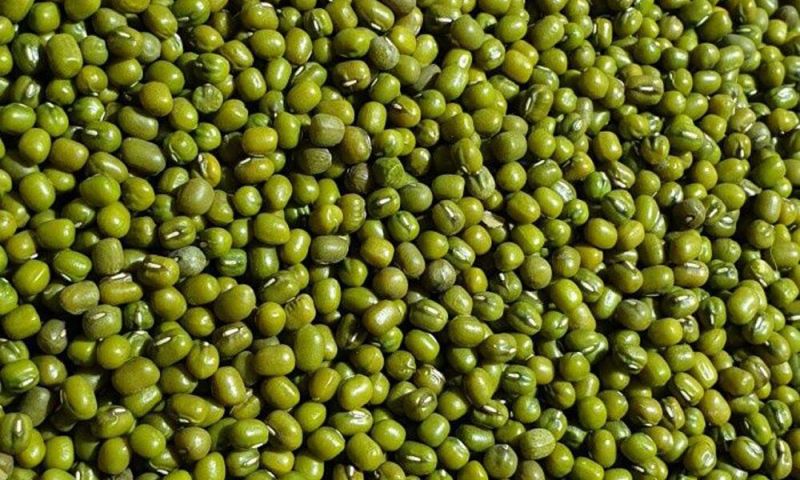 green mung beans
