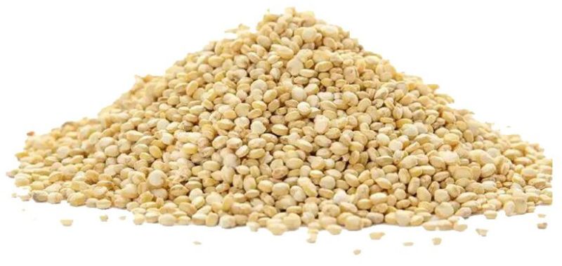 Quinoa Seeds