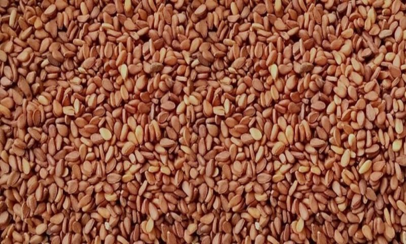 Red Sesame Seeds