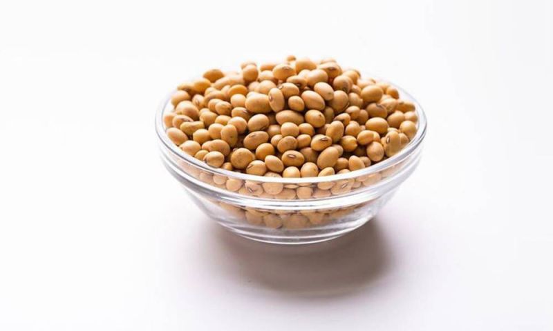 Sorghum Millet