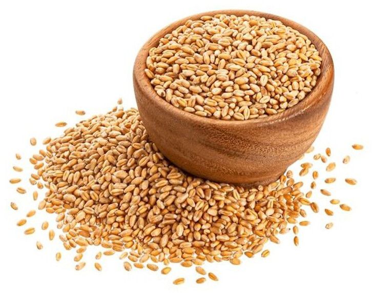 wheat seeds