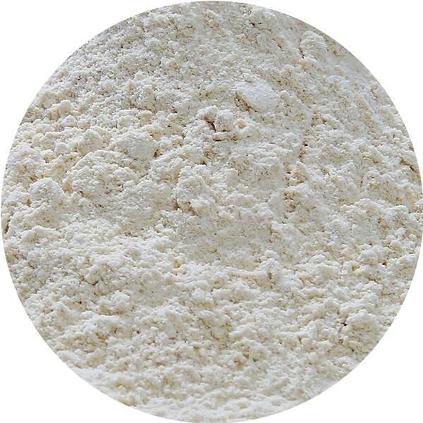 Dehydrated White Onion Powder