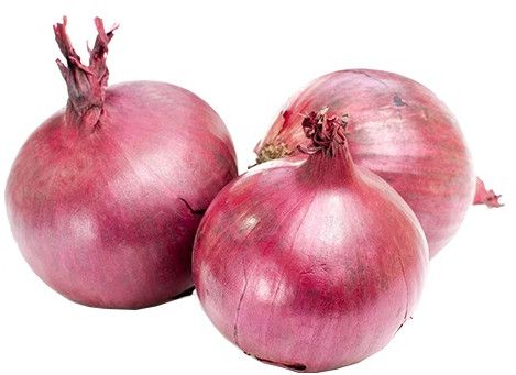 Fresh Red Onion, Packaging Type : Mesh Bags Or Cartons