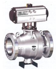 Stainless Steel Ball Valves (Trunion Mounted)