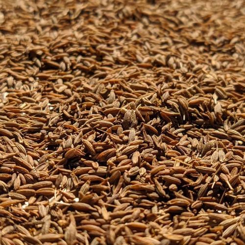 Brown Cumin Seeds for Cooking