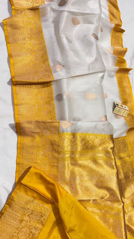 Banarasi Organza Saree