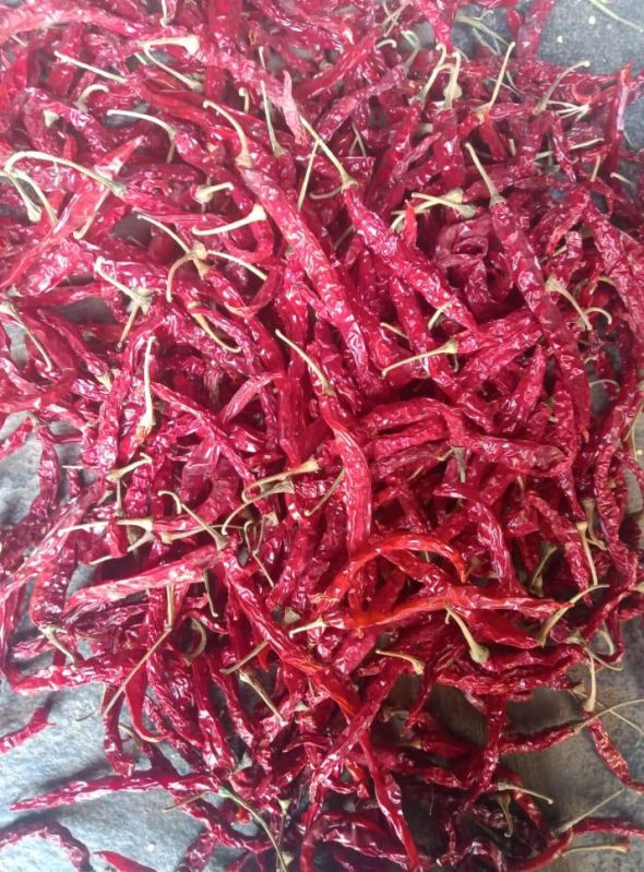 dry red chilli