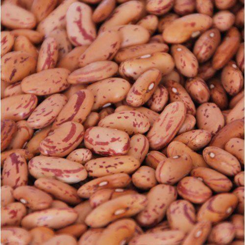 Chitra Rajma Beans