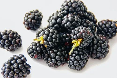 A Grade Imported Blackberry