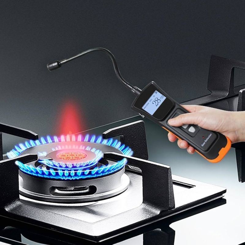 Gas Leak Detection System