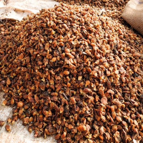 Dried Mahua Flower, Color : Red/brown, Packaging Type : 20kg/50kg