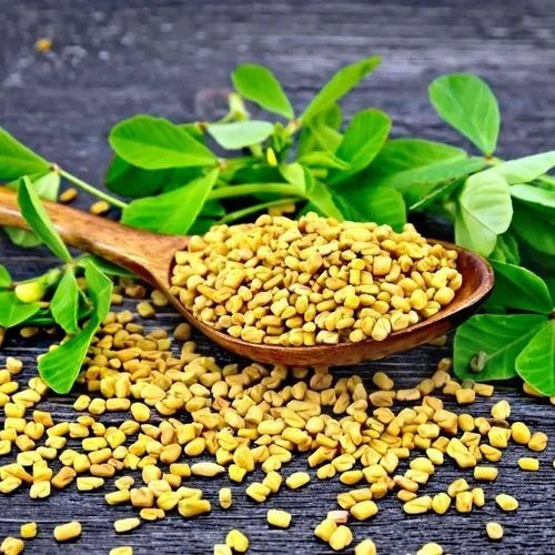 Natural Fenugreek Seeds