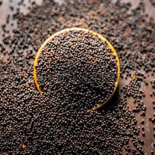 Black Mustard Seeds, Packaging Size : 5-25kg 9%