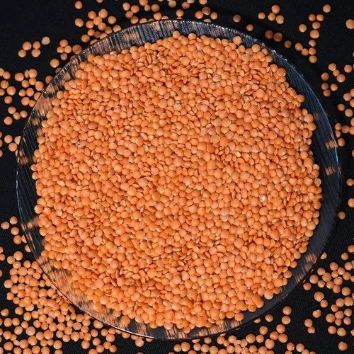 Lal Masoor Dal, Packaging Size : 25-50kg for Cooking