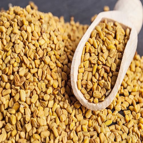 A Grade Fenugreek Seeds