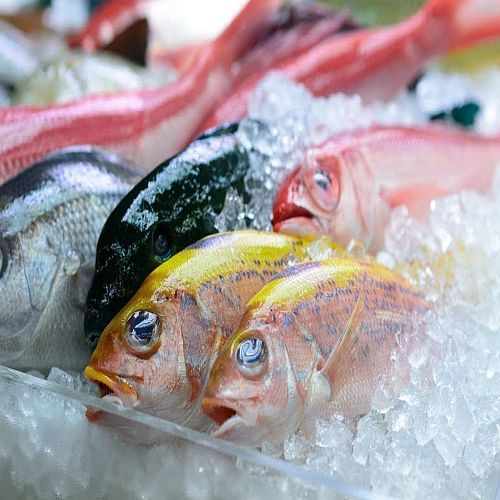 Frozen Pomfret Fish, Packaging Type : Vacuum-sealed