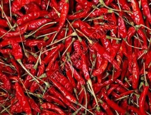Guntur Dry Red Chilli, Packaging Type : PP Bag for Spicy