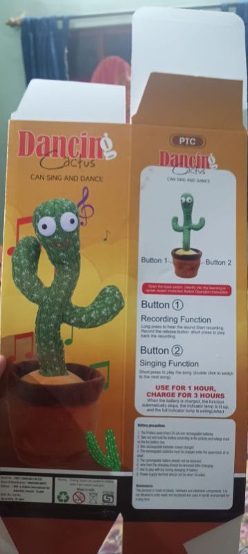 Dancing Cactus