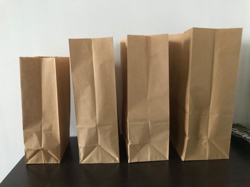 Brown Paper Bags