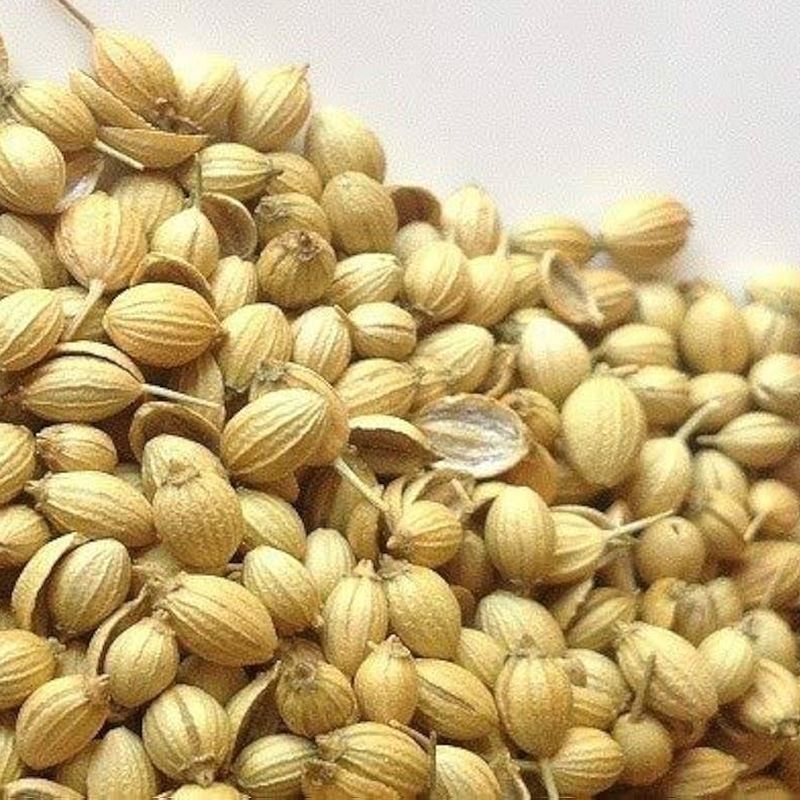 coriander seeds