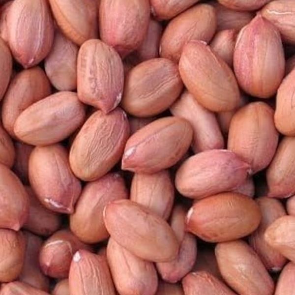 Raw Groundnut Seeds