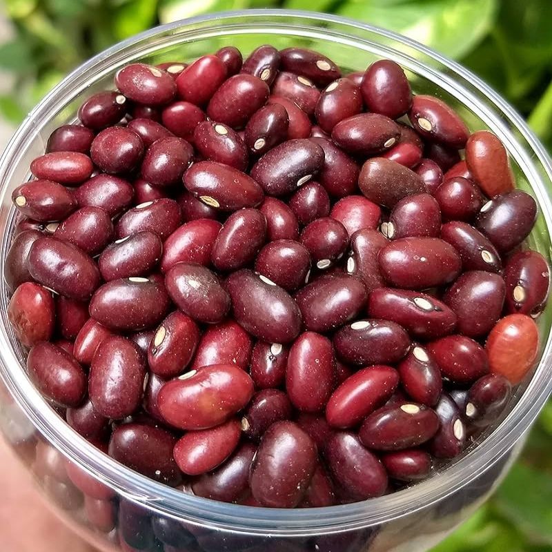 red kidney beans