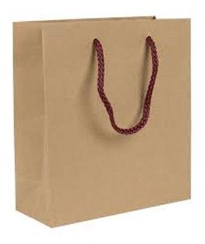 Plain Rope Handle Paper Bag, Thickness : 0.5-1mm for Shopping Use