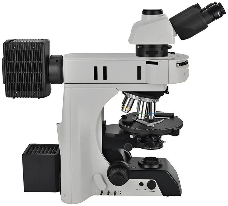 Euromex 1052 Plpolri Iscopetinocular Microscope