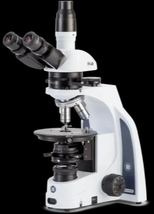 IS.1153-PLPH Euromex Trinocular Phase Contrast Microscope