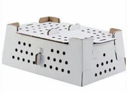Chick Packaging Box