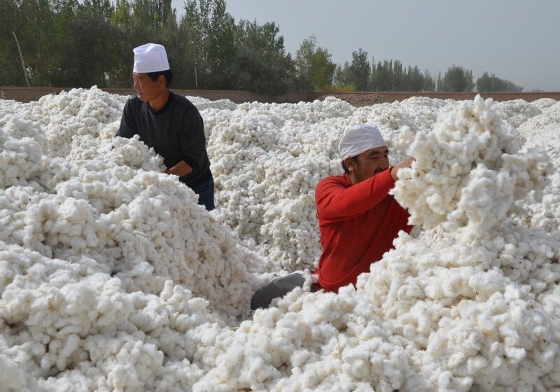 Cotton