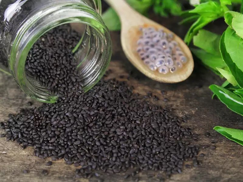Basil Seed