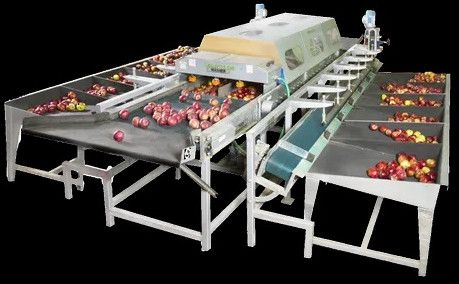 Agrosaw Apple Grading Machine, Capacity : 200 - 600 Boxes Per Day
