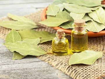 Bay Leaves