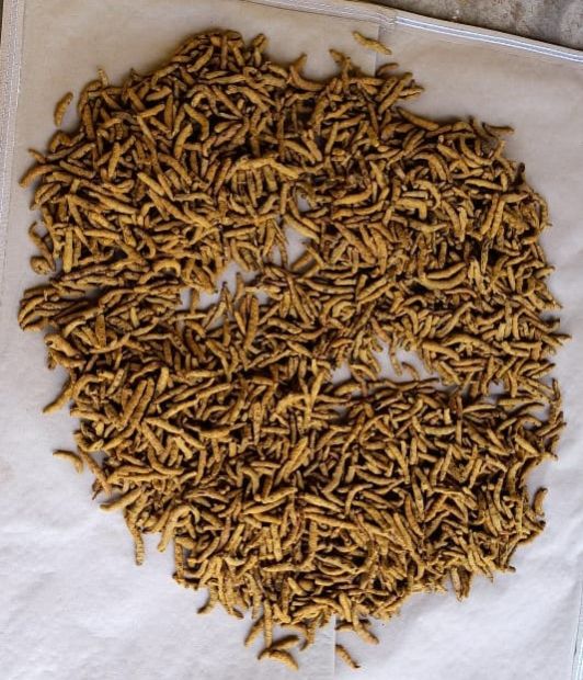 organic turmeric finger