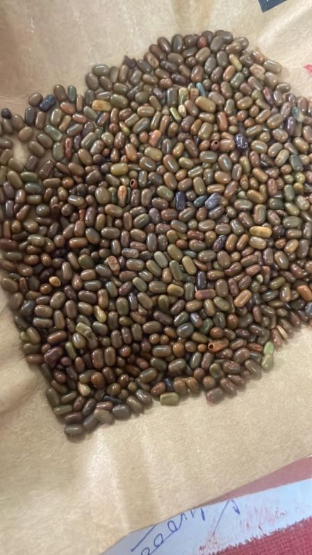 Sesbania Dhaincha Seeds