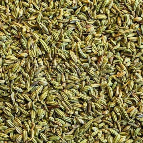 Fennel Seeds
