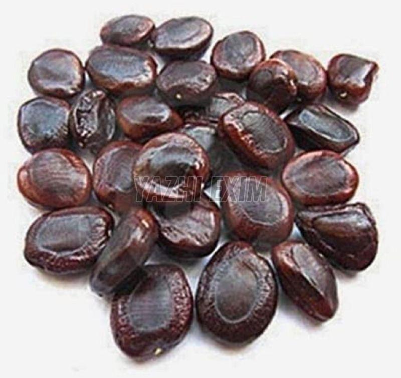 Tamarind Seeds